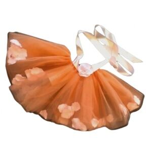 Firefly Tutu Ballet Dance Ballerina Tulle Costume Dress Fairy Girls Princess